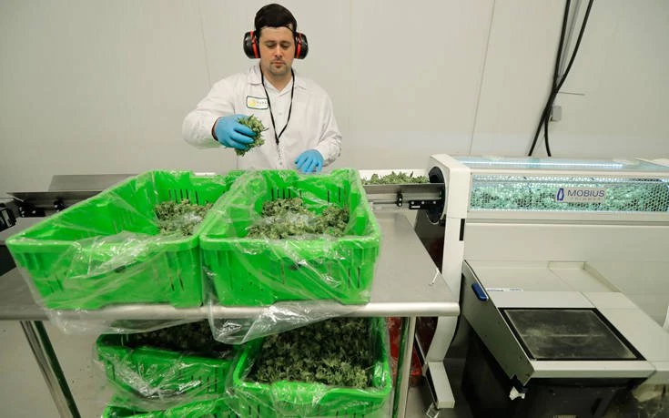 Την κατοχή και χρήση κάνναβης για ψυχαγωγικούς σκοπούς νομιμοποίησε ο Καναδάς